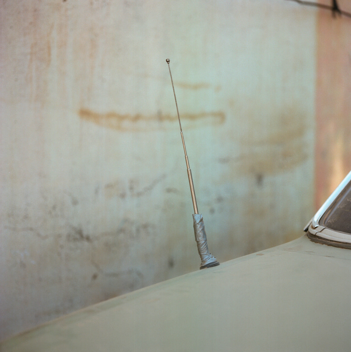 Myriam Meloni - Resistance to Obsolescence 1