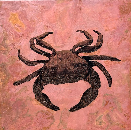 Aurélien Ciller - Mimesis crabe