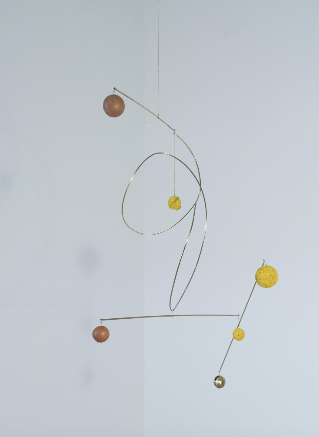 Ambre Cardinal - Constellation Orion