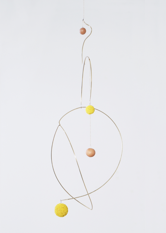 Ambre Cardinal - Constellation Poisson Volant