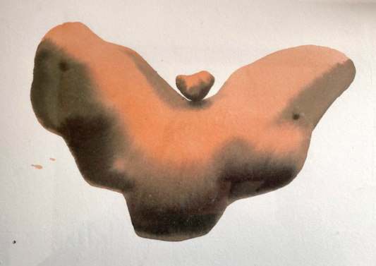 Magali Cazo - Au creux