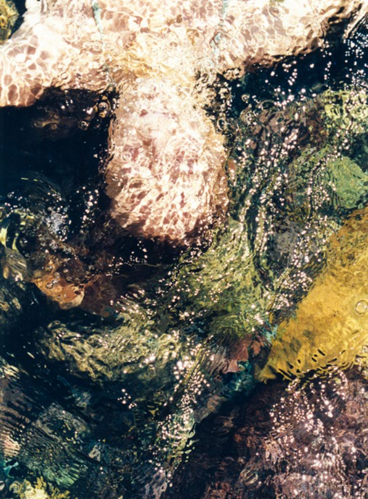 Cécile Larher - Le vent l’emportera