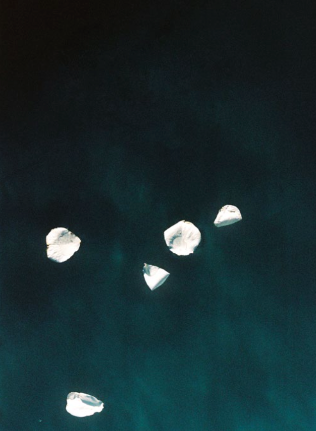 Cécile Larher - Drifting