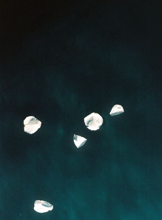 Cécile Larher - Drifting