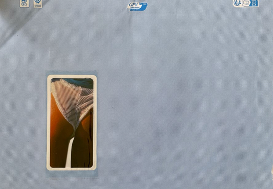 Mahaut Harley - enveloppe corporelle