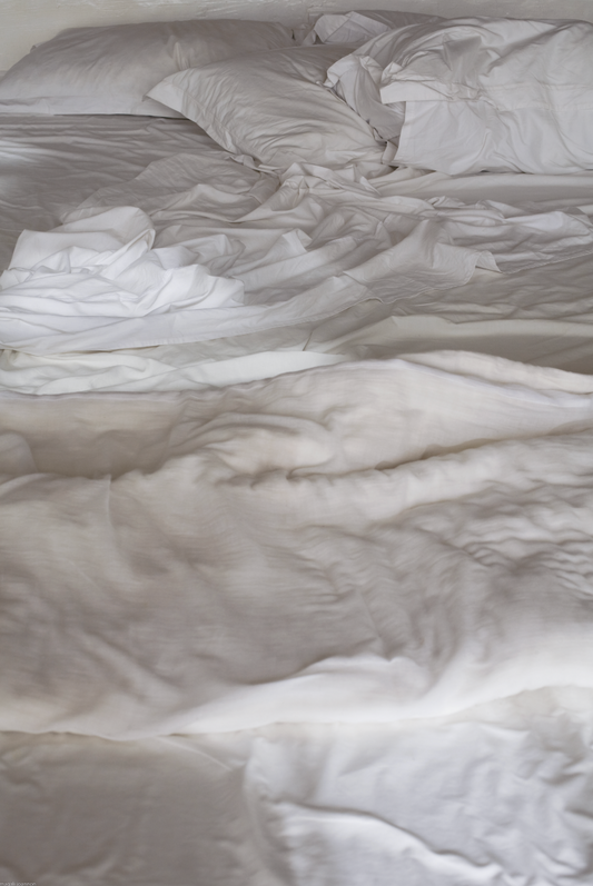 Magali Joannon - Évanescence