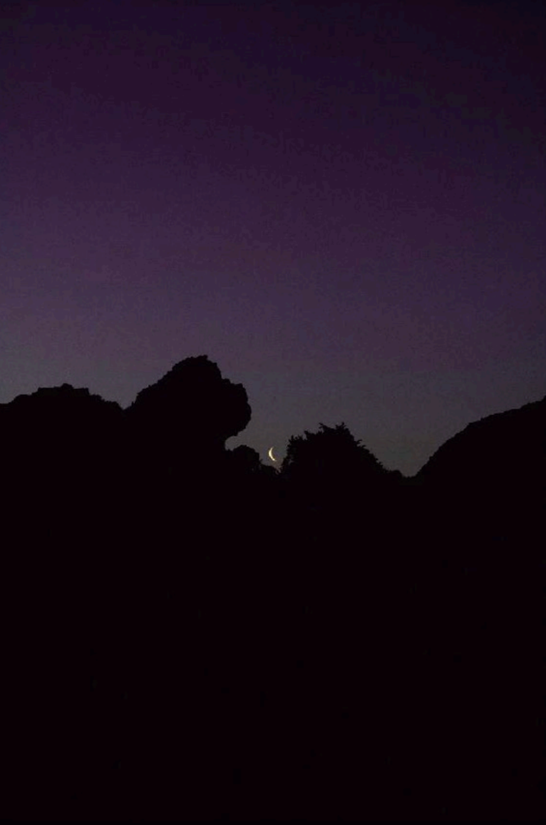 Les métamorphoses 16