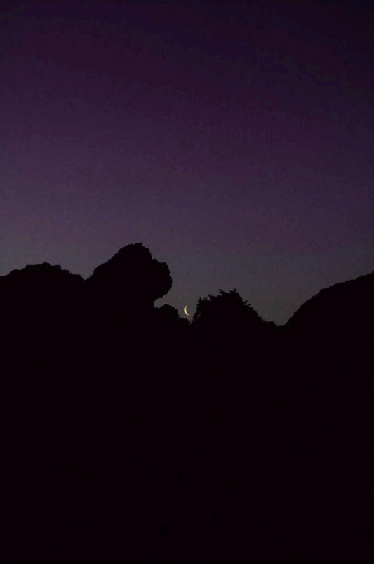 Les métamorphoses 16