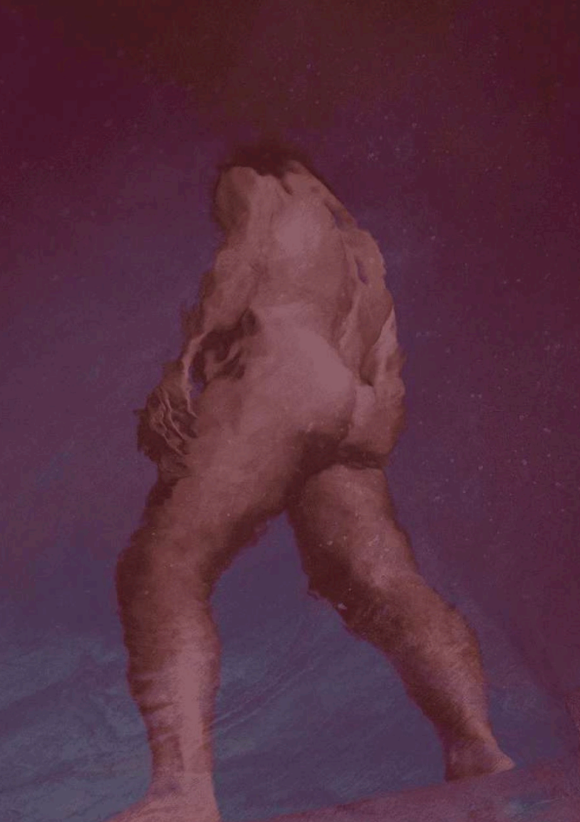 Les métamorphoses 17