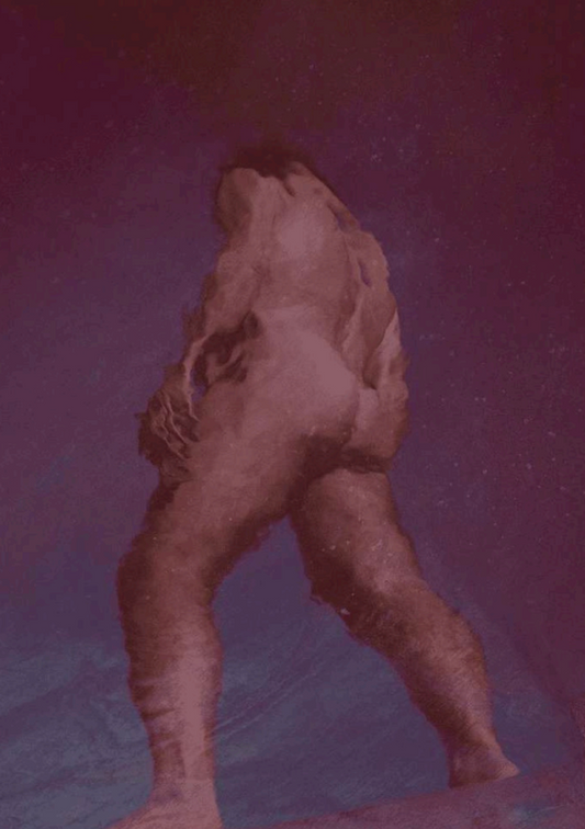 Les métamorphoses 17