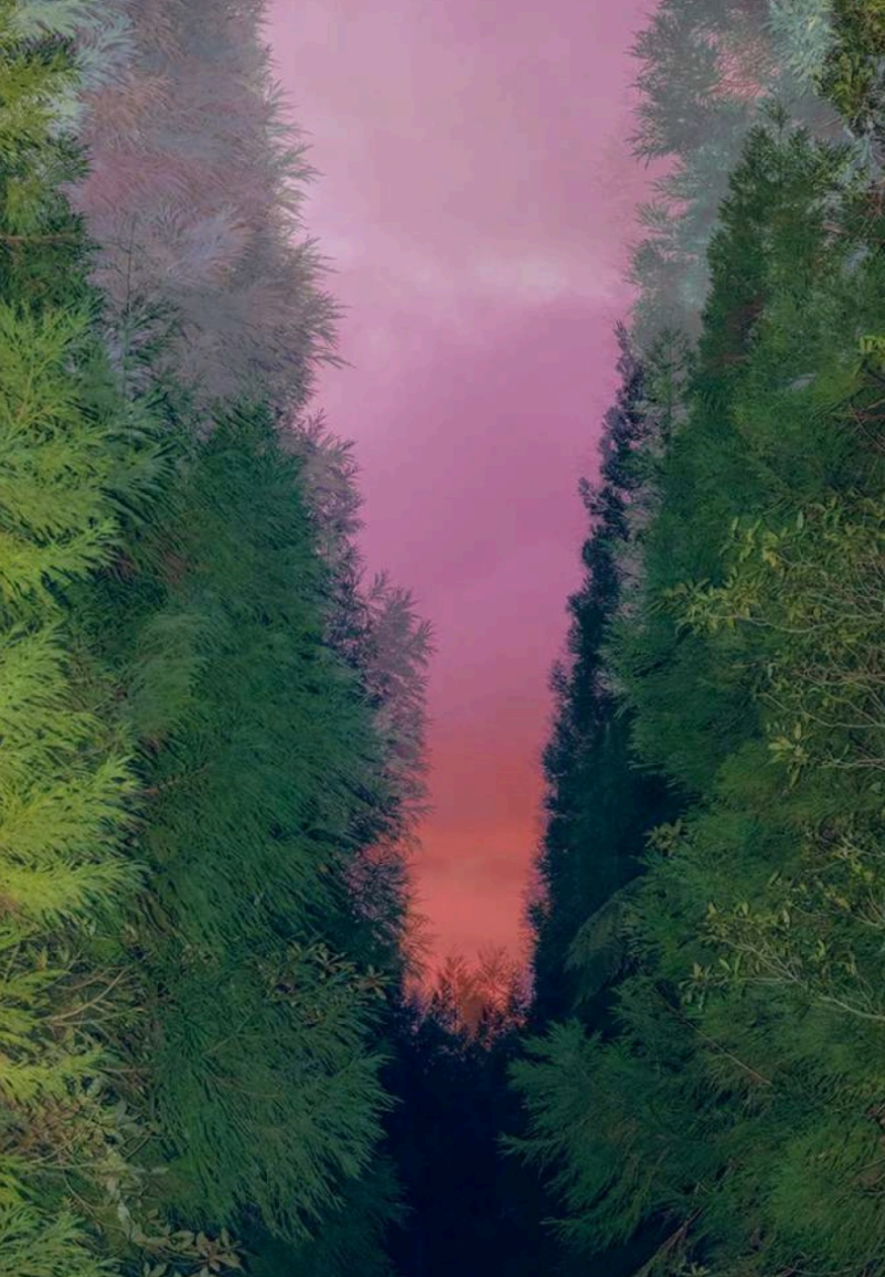 Les métamorphoses 69