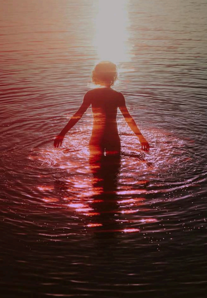 Les métamorphoses 26