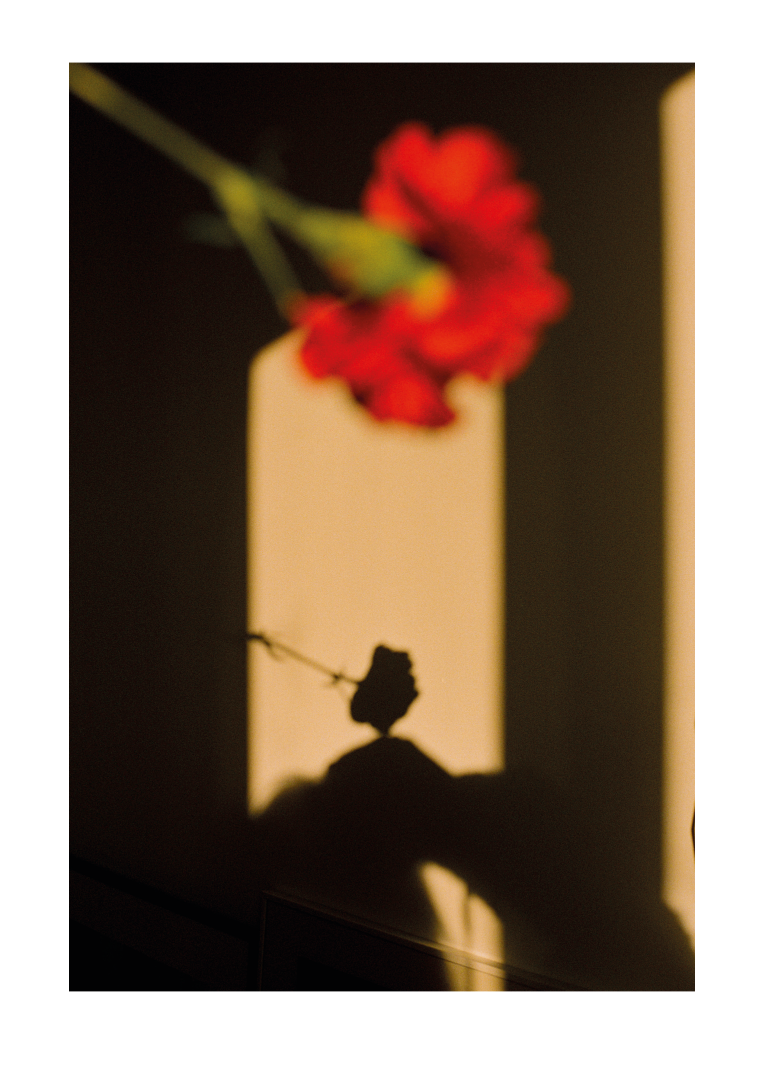 Éditions Faces - Cécile Larher - "Matin parisien"