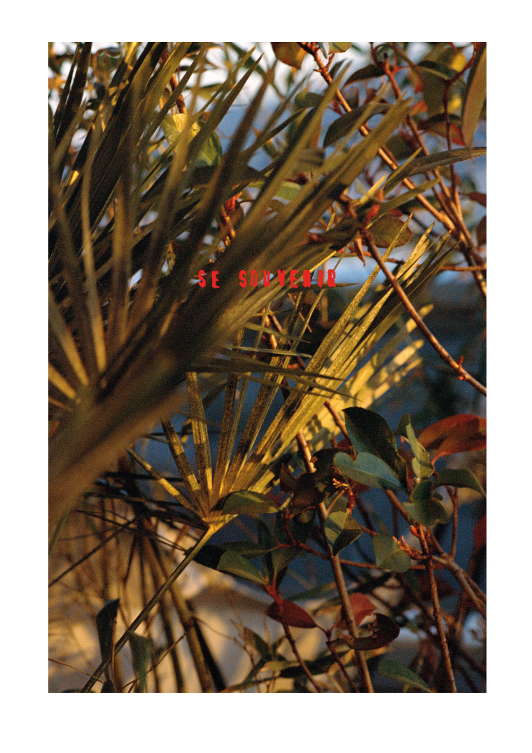 Éditions Faces - Victoire Eouzan - Se souvenir"