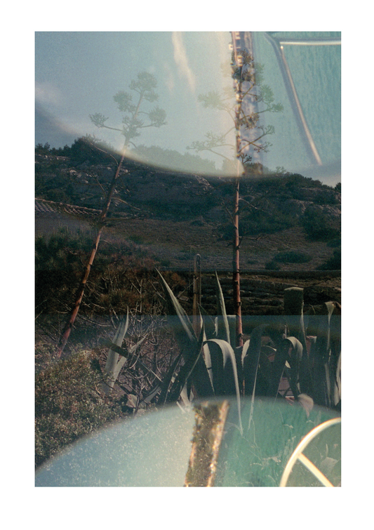 Édition Faces - Victoire Éouzan - Agave