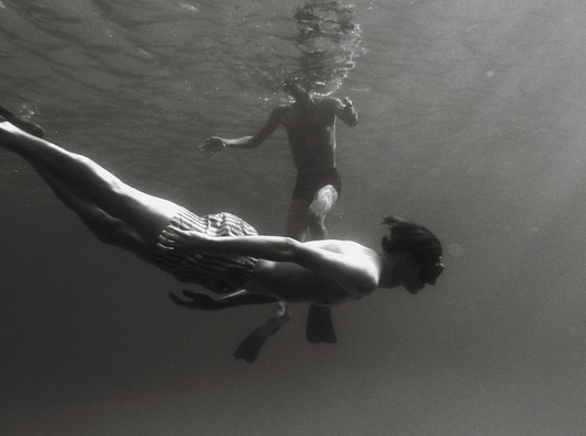 Constance Landowski - La baie d'argent