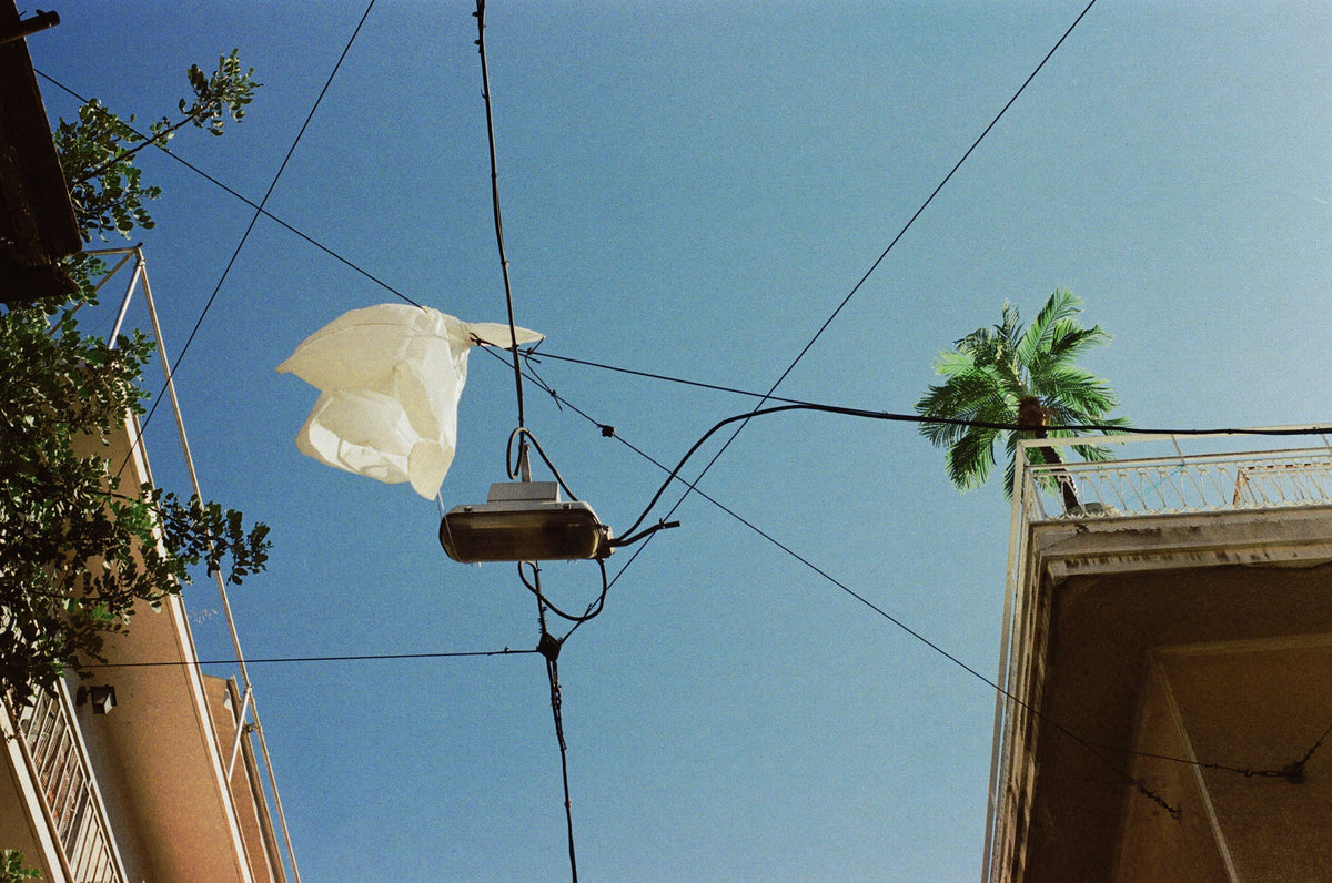 Despina Spyrou, Palm — Postcards from Athens, Galerie Faces