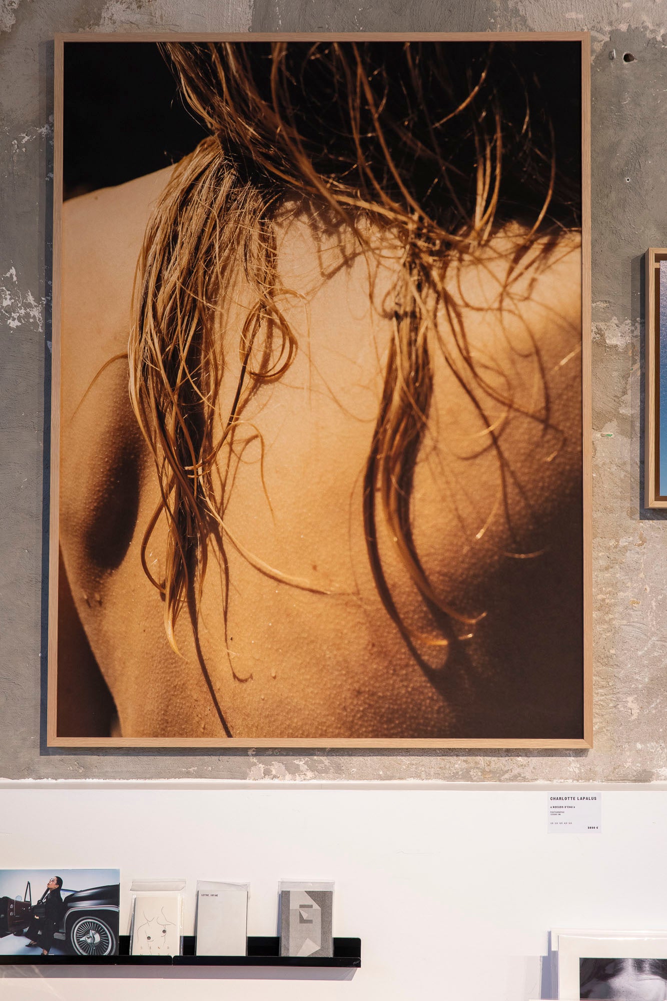 Charlotte Lapalus - Noeuds d'eau