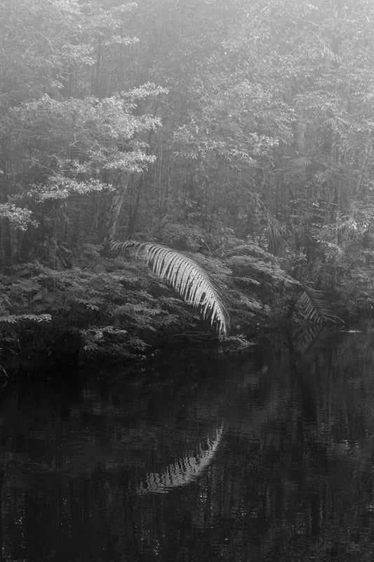 Elsa Leydier - Sans Titre #10 (TRANSÀTLANTICA)