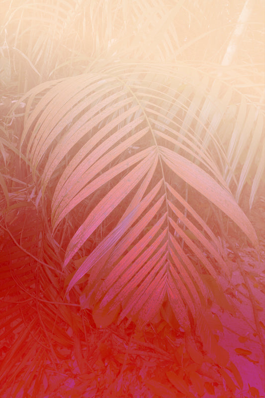 Elsa Leydier - Sans Titre #2 (TRANSĂ€TLANTICA)