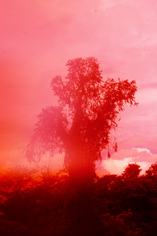 Elsa Leydier - Sans Titre #20, LUTOA (LES DÉSOBÉISSANCES)