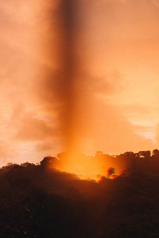 Elsa Leydier - Sans Titre #26, LUTOA (LES DÉSOBÉISSANCES)