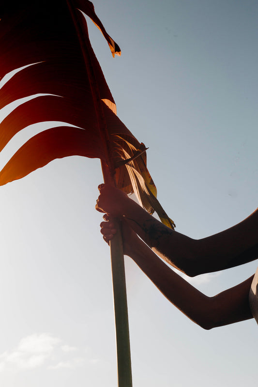 Elsa Leydier - Sans Titre #4, LUTOA (LES DÉSOBÉISSANCES)