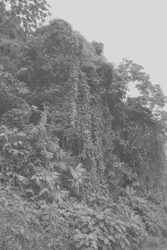 Elsa Leydier - Sans Titre #5 (TRANSÀTLANTICA)