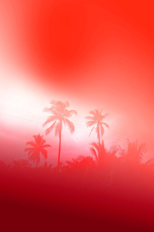 Elsa Leydier - Sans Titre #6 (TRANSÀTLANTICA)