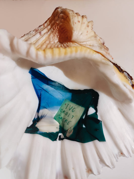 Elsa Leydier - IVG, Droit Sacré, Toujours la liberté (LES DÉSOBÉISSANCES) (Copie)