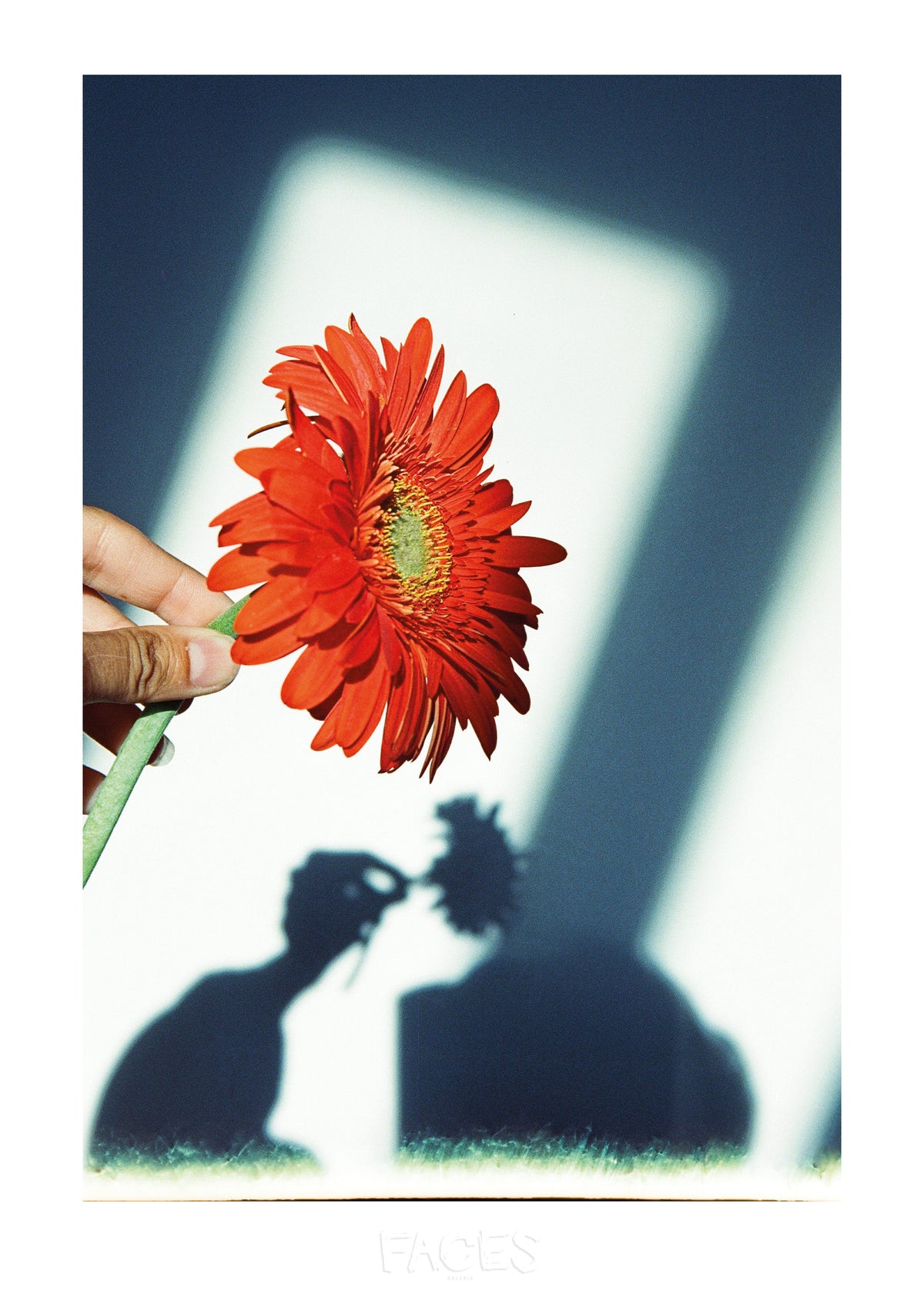 Éditions Faces - Cécile Larher - "Soft like a sunday morning"