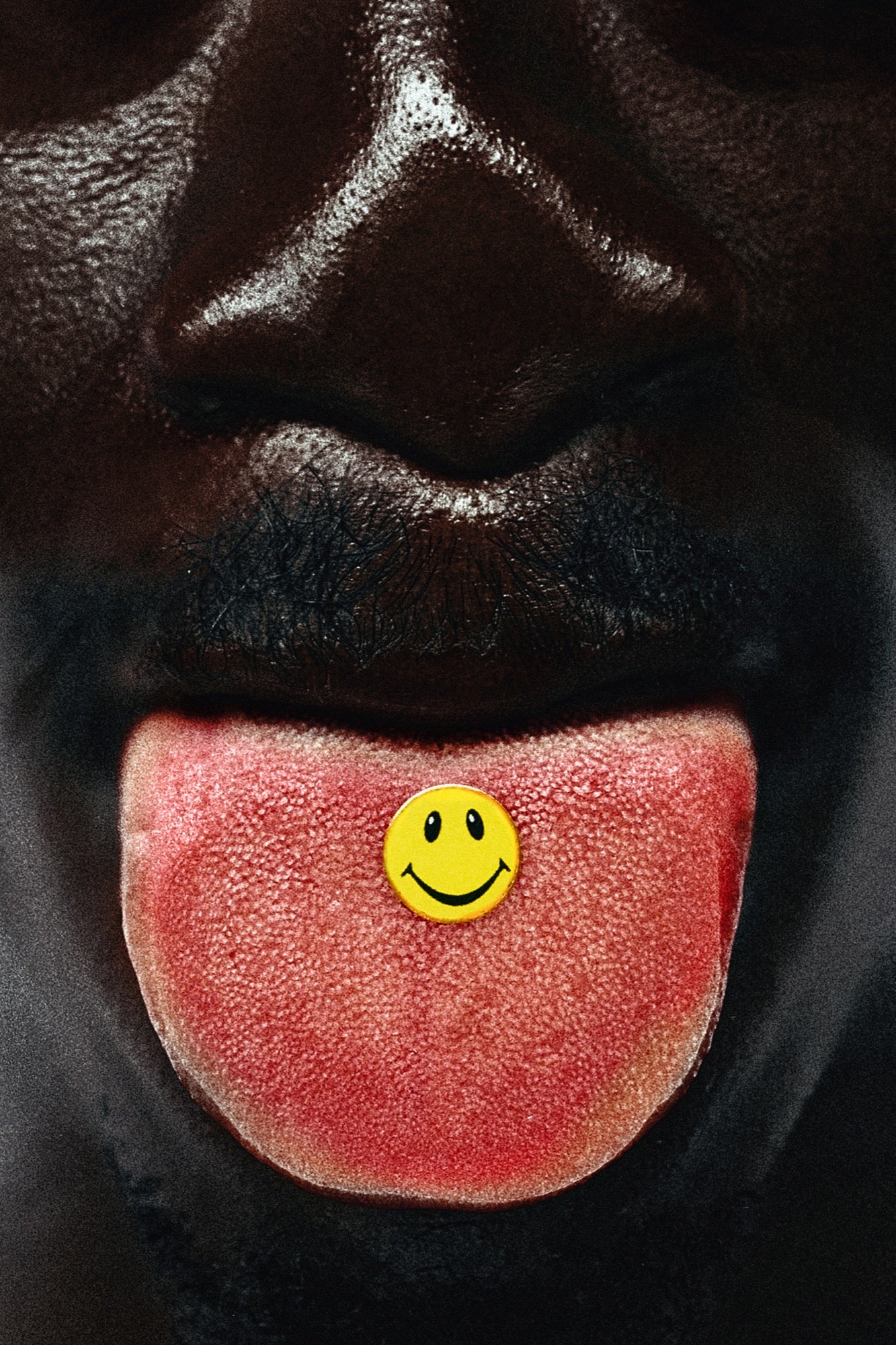 MOUS LAMRABAT - happy pills