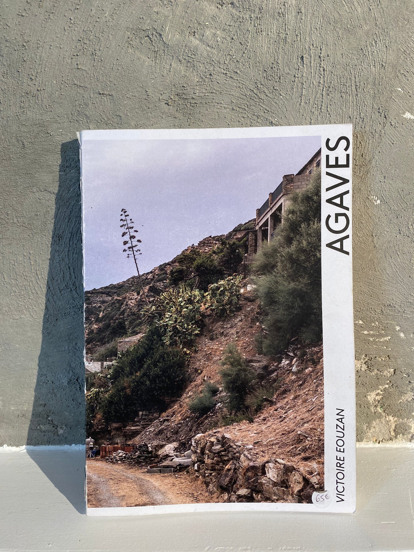 Agaves - Victoire Eouzan