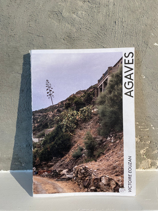 Agaves - Victoire Eouzan