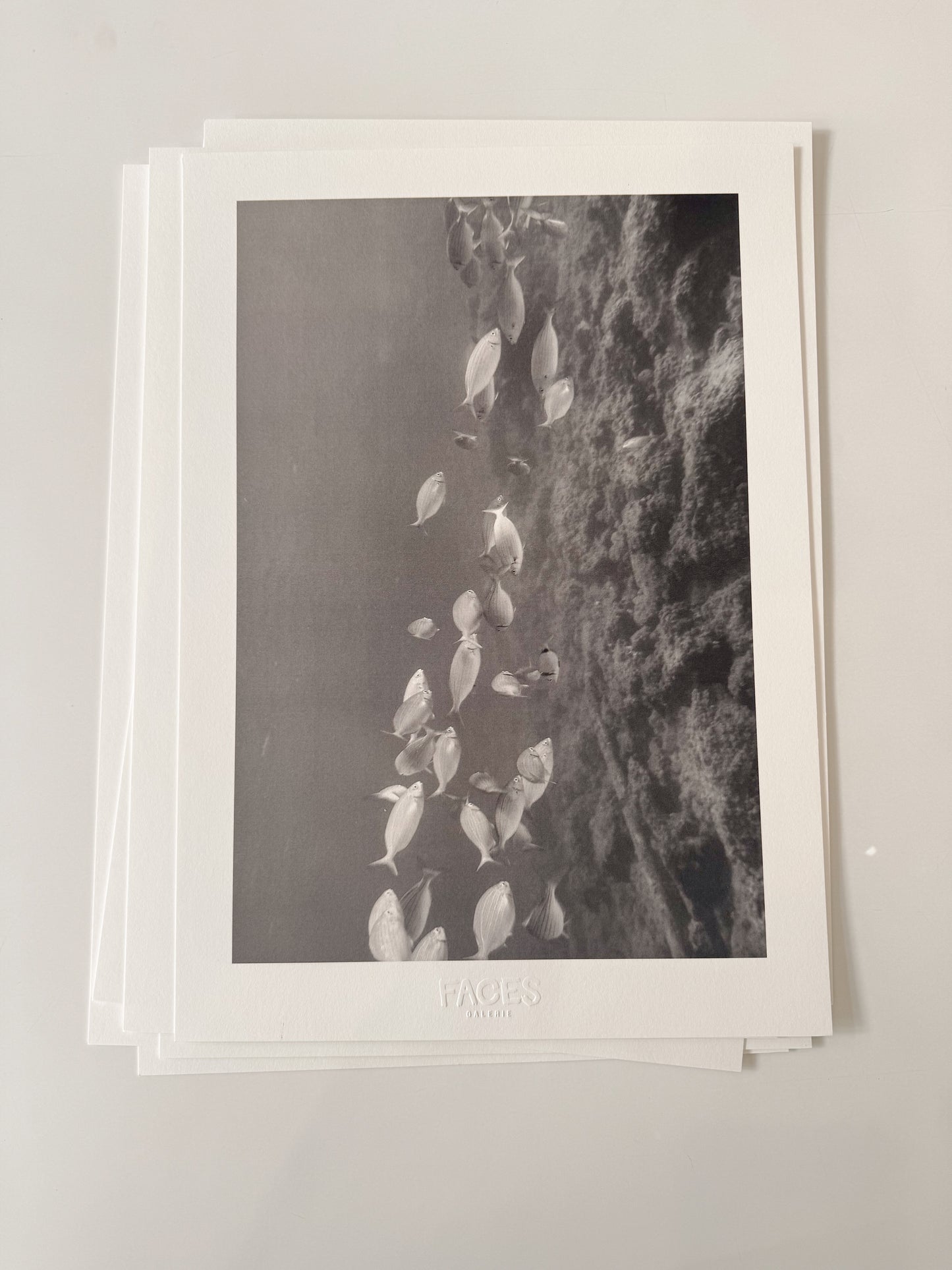 Éditions Faces - Constance Landowski - "Les poissons"