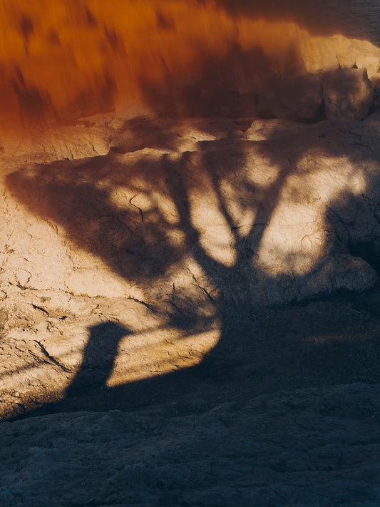 Charlotte Lapalus - D'eau ombragé