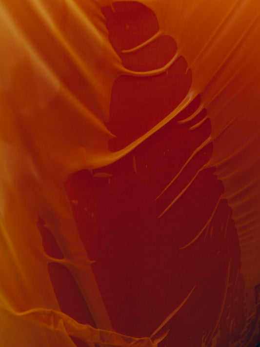 Charlotte Lapalus - Collé au d'eau