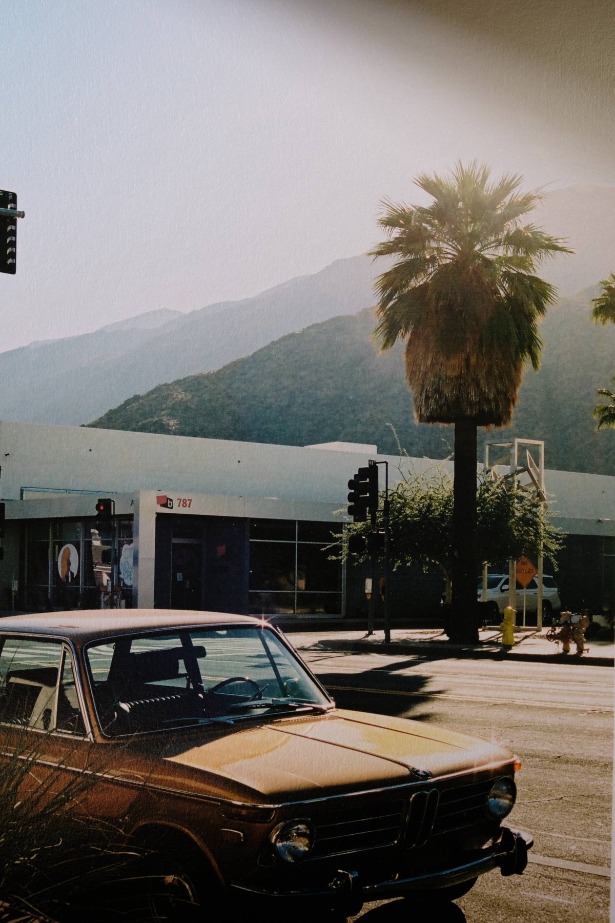 Cécile Larher - Palm Springs Morning, 2023