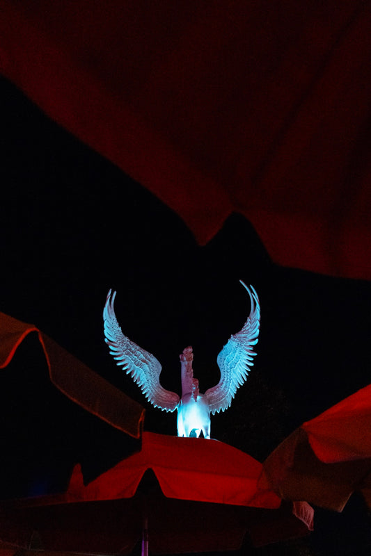 Billie Thomassin - two wings no shade