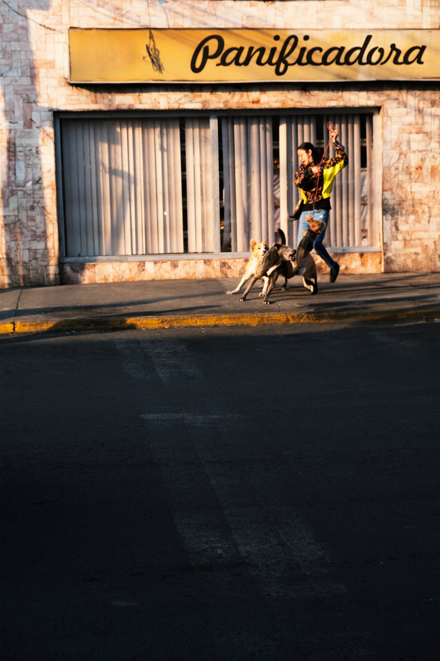 Édition Faces - Billie Thomassin "Panificadora"