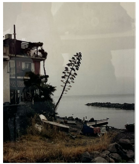 Victoire Eouzan - Agaves Sicile,Cinecittà