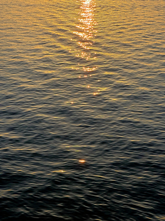 Aurélien Ciller - Reflets salés