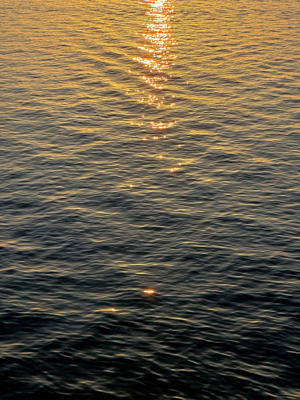 Aurélien Ciller - Reflets salés