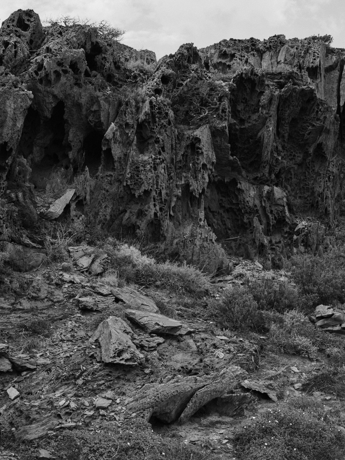 Sébastien Arrighi - Magma