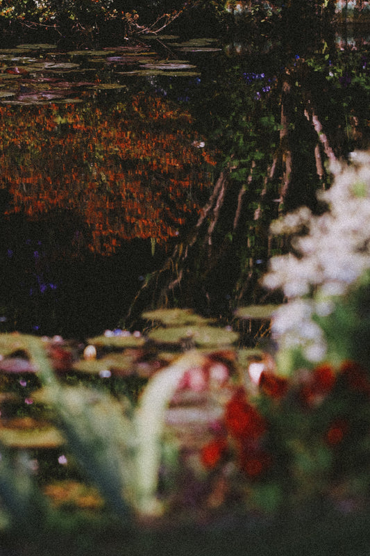 Jonathan Bertin - Réflections, Giverny, 2023