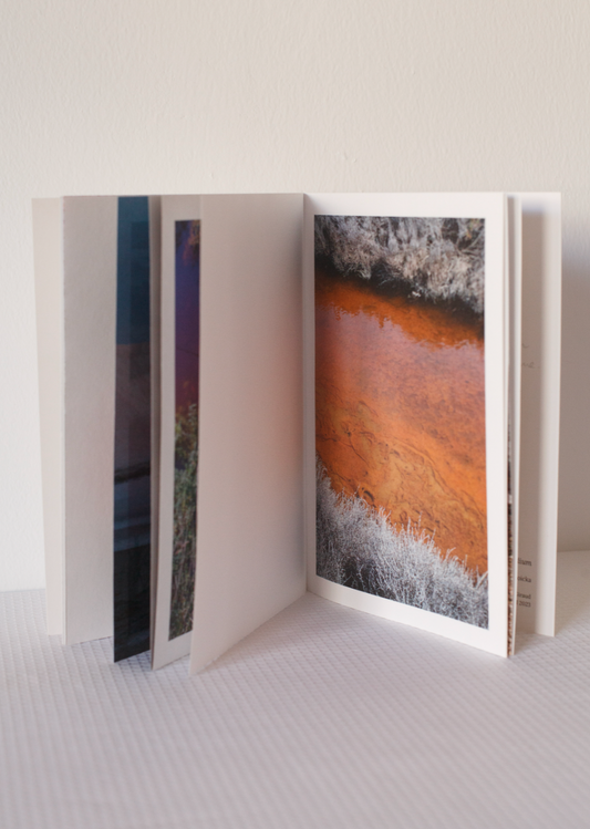 Dominika Troicka - "Sodium" - Livre