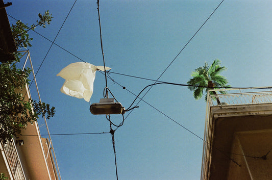 Despina Spyrou, Palm — Postcards from Athens, Galerie Faces