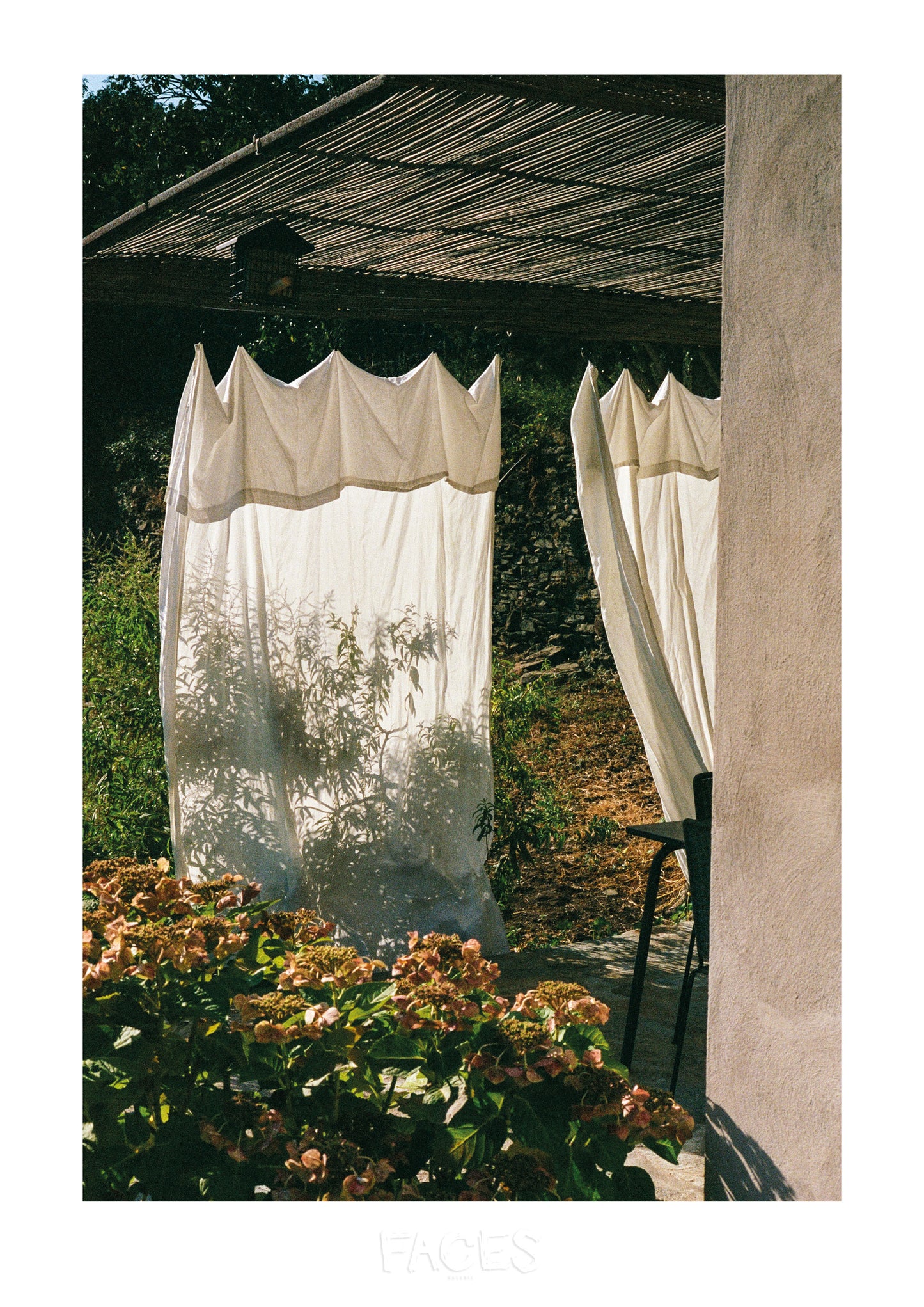 Cécile Larher - Gone with the wind. No hope no dream.