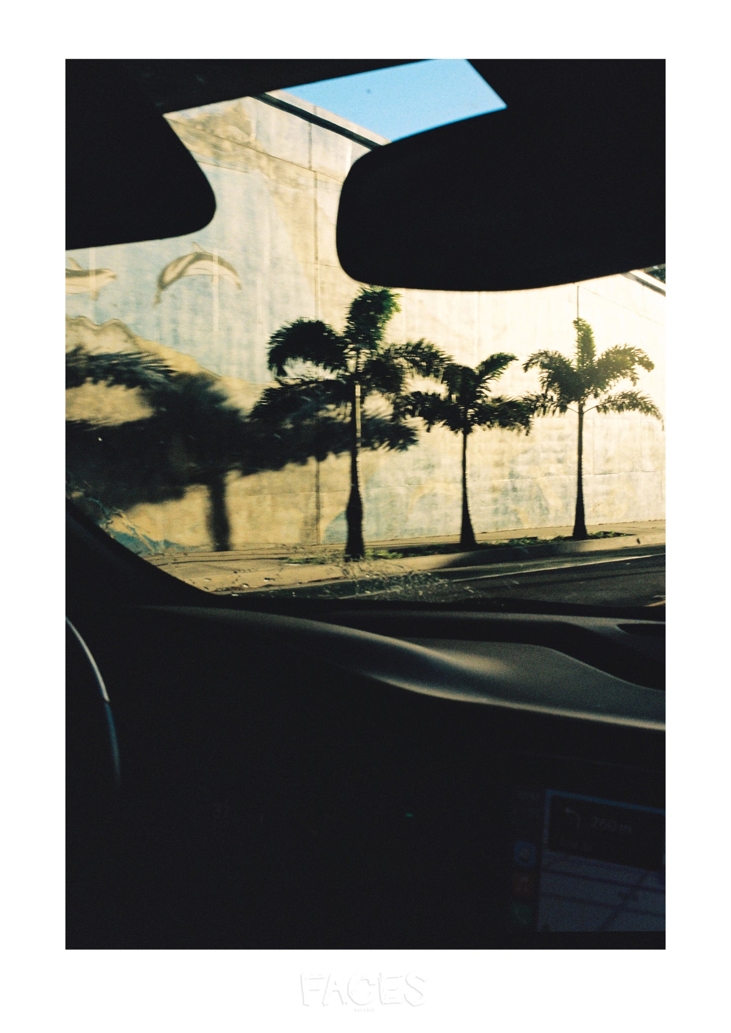 Cécile Larher - Sunset drive