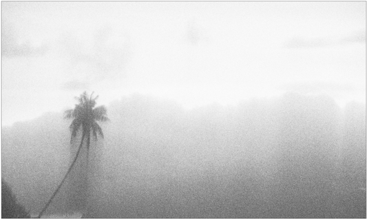 Florent Louineau Di Stefano - Mana Moorea